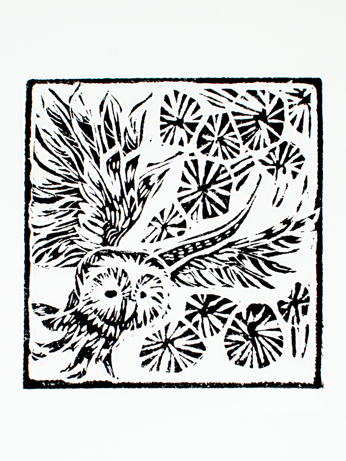 Owl - Image 2